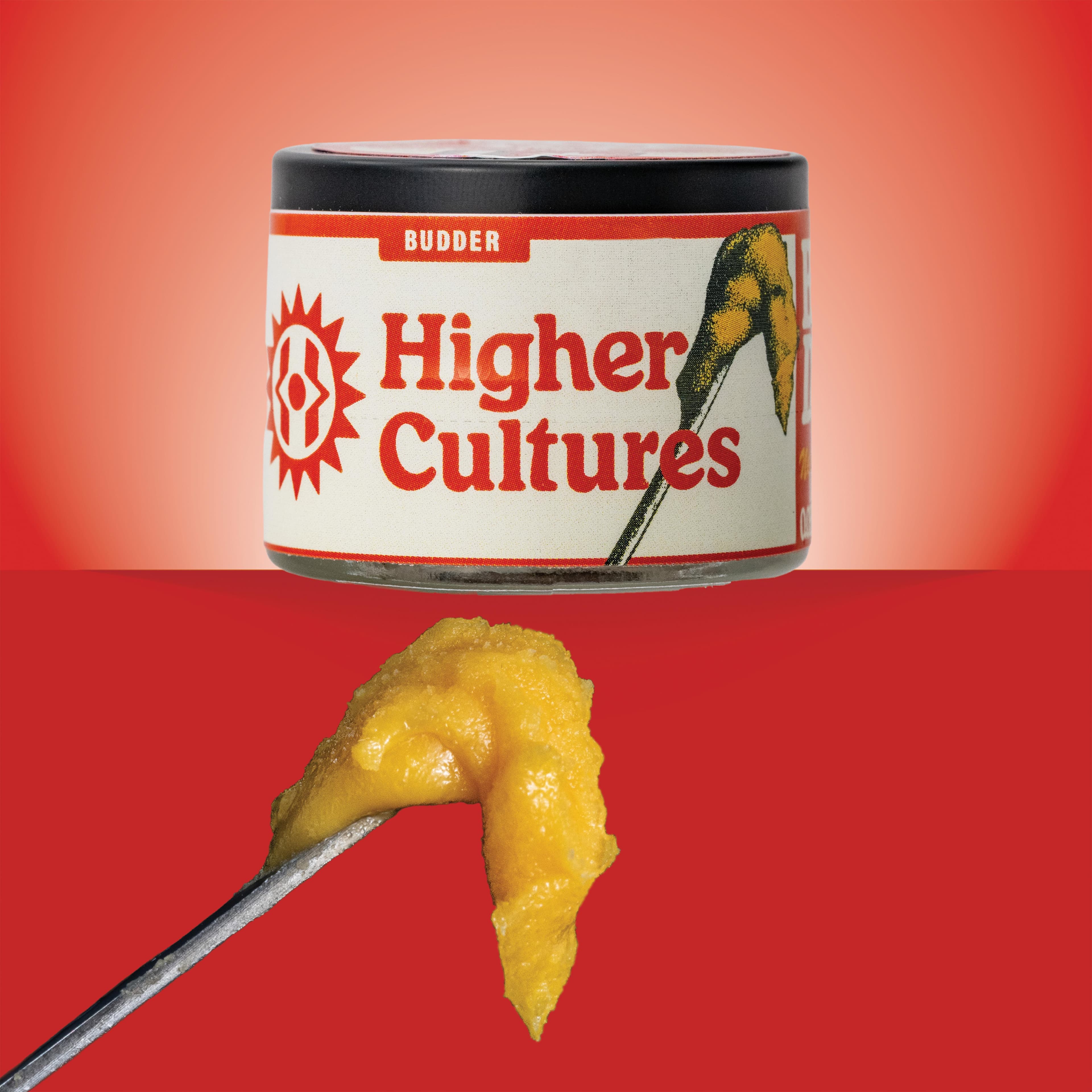 Higher Cultures Concentrates