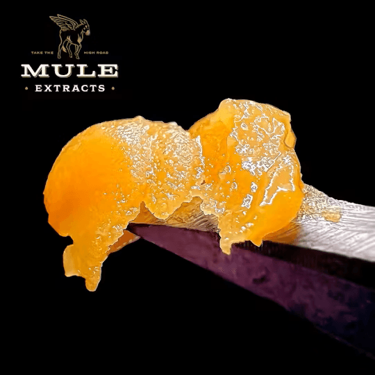 Mule Extracts Texas Butter - 2g Live Resin