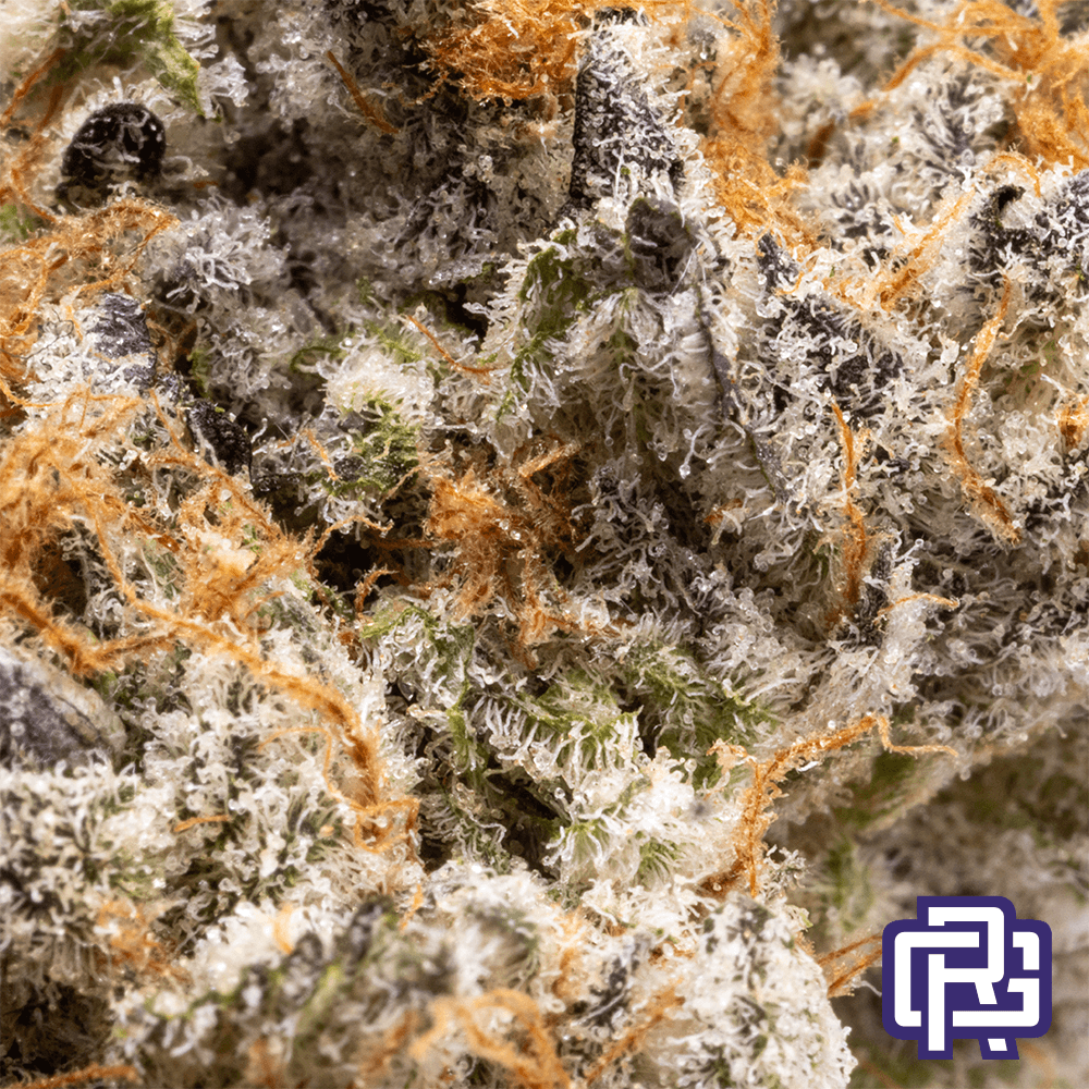 Noble Farms Blue Royale | Eighths