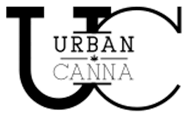 Urban Canna Pineapple Bang | Flower