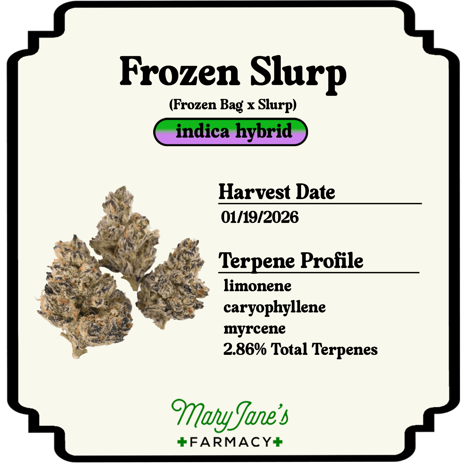 Earl Baker Frozen Slurp