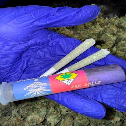 Bacon's Buds Big Smooth Pre-Roll 2-pack | 1g (DOH)