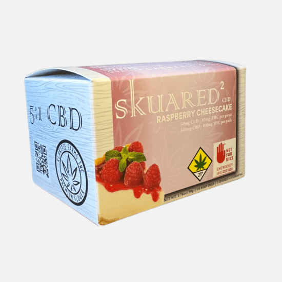 Skuared Raspberry Cheesecake 5:1 CBD Squares | 10-Pack (DOH)