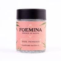 Foemina Foemina: Mimosa
