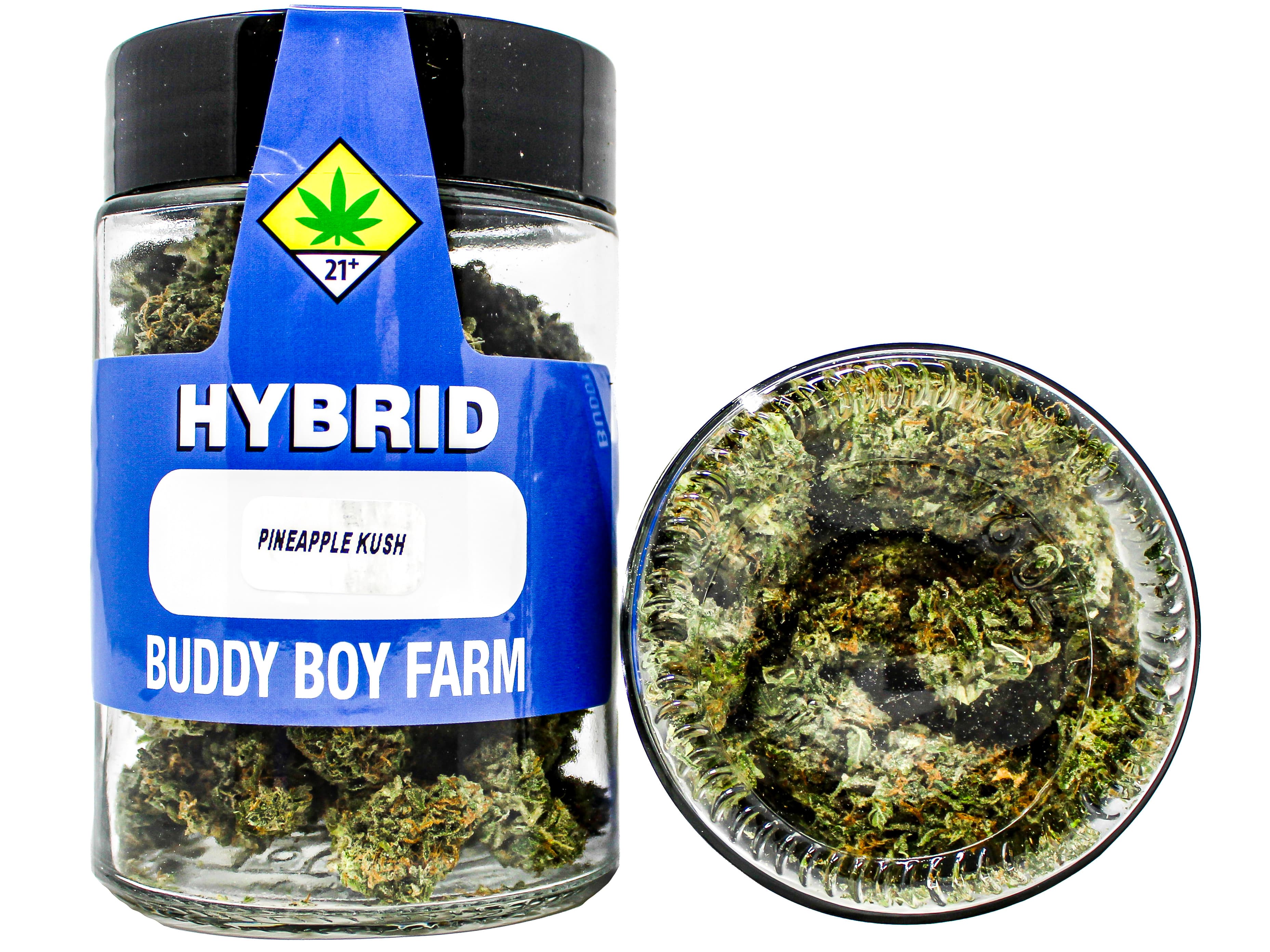 Buddy Boy Farms BDB Pineapple Kush 1436451667