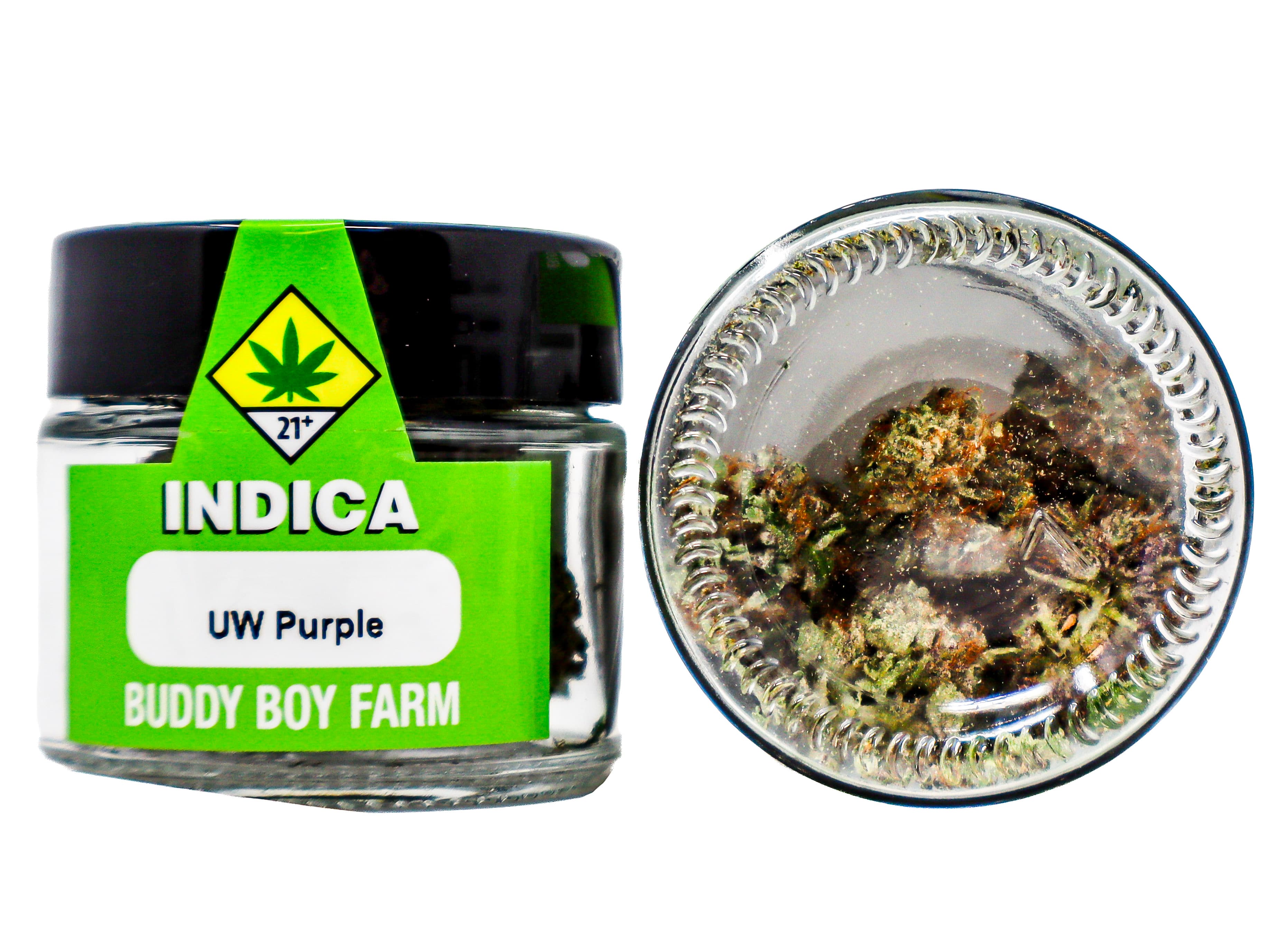 Buddy Boy Farms BDB UW Purple 5239453331
