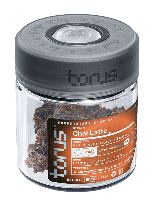 Torus Torus: Chai Latte (H)