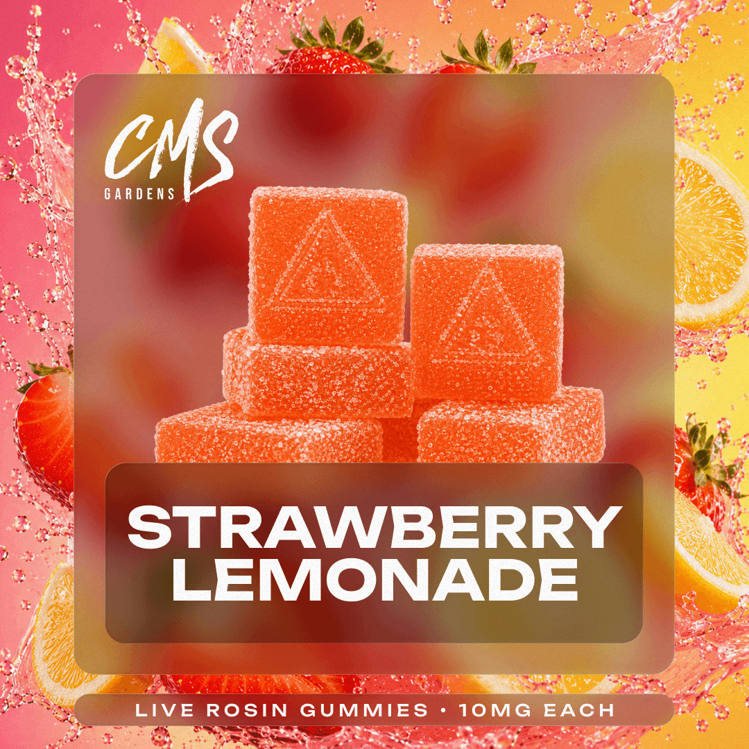 CMS Gardens Strawberry Lemonade | Live Rosin Gummies | 100mg