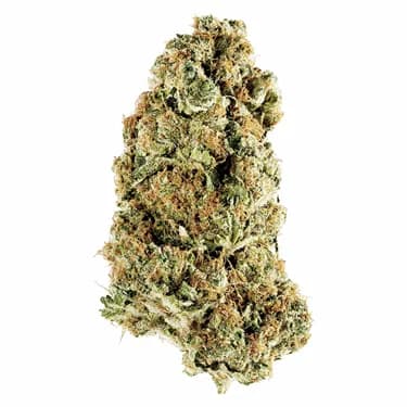 Redecan Animal Rntz - Redecan - Dried Flower