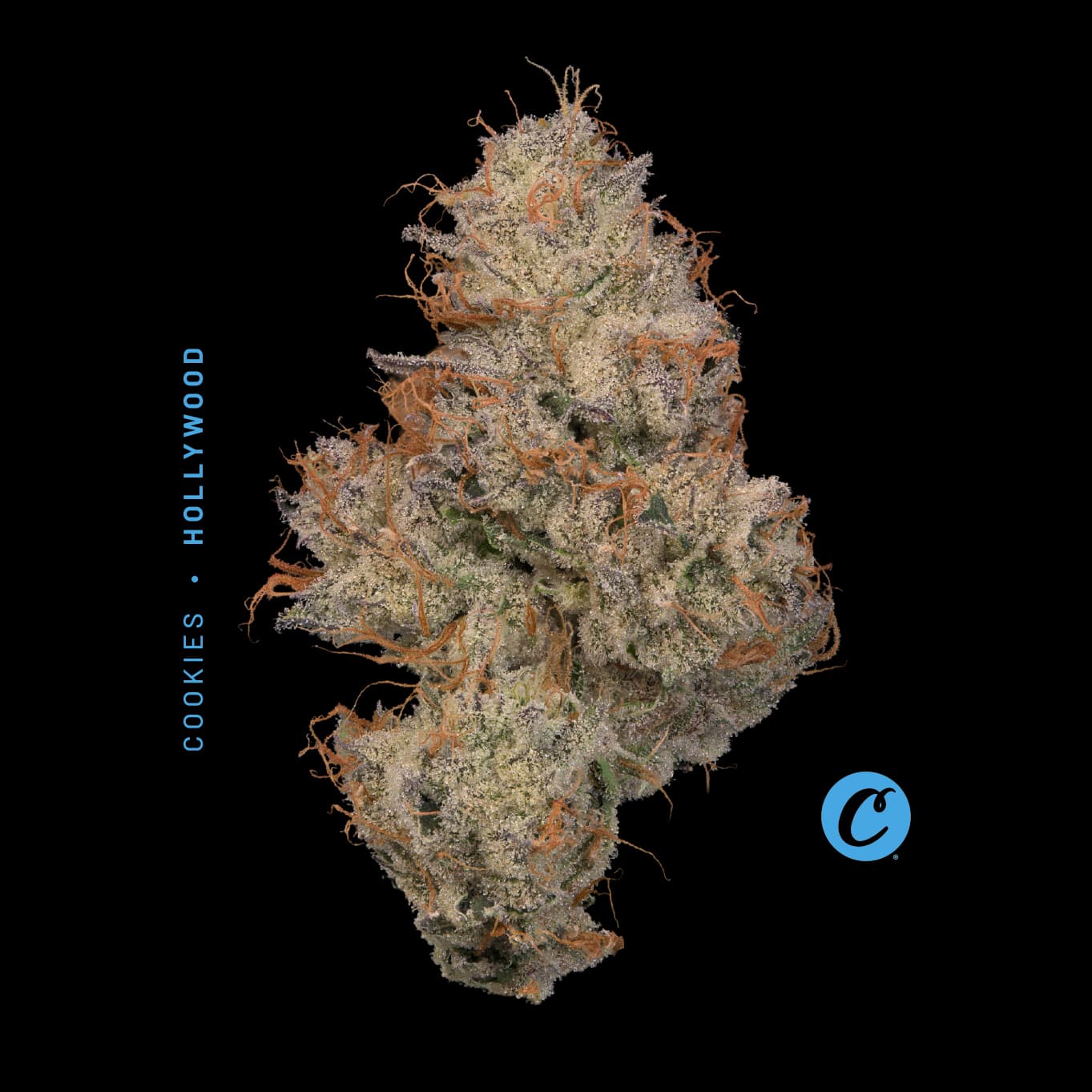 Cookies Hollywood |