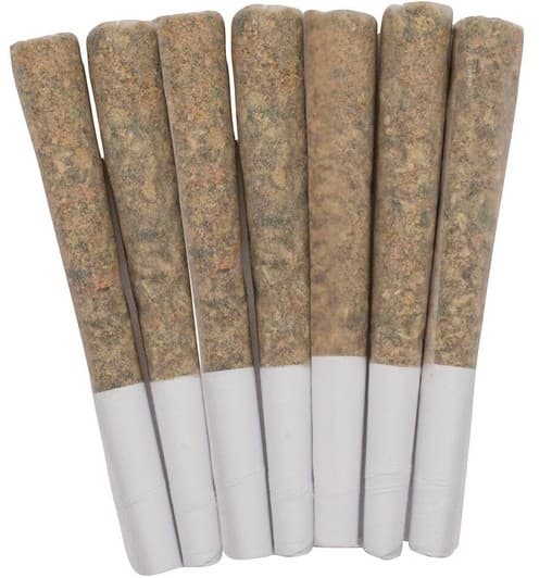 West Coast Gas