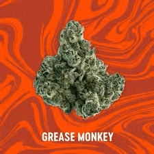 Vivid Grease Monkey - Pre-Packed - 3.5g