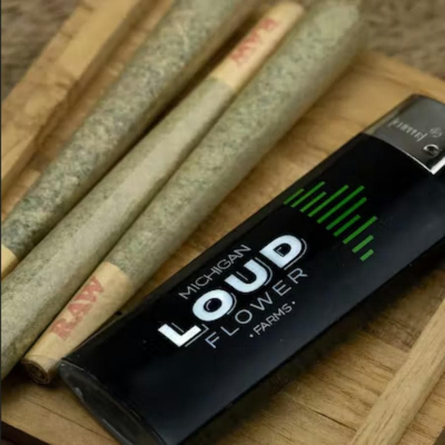 MI Loud (AU) MI Loud Flower Preroll - Dune Star