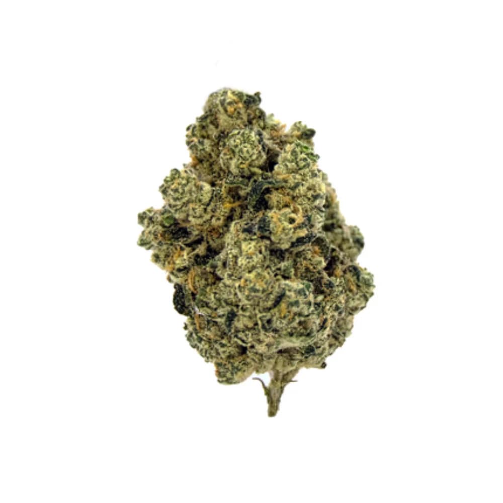 TICAL Sherbet Cake