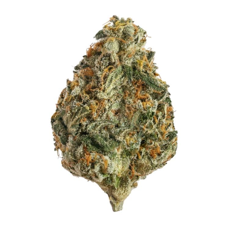 Fraser Valley Weed Co. BC Bounty | 28g