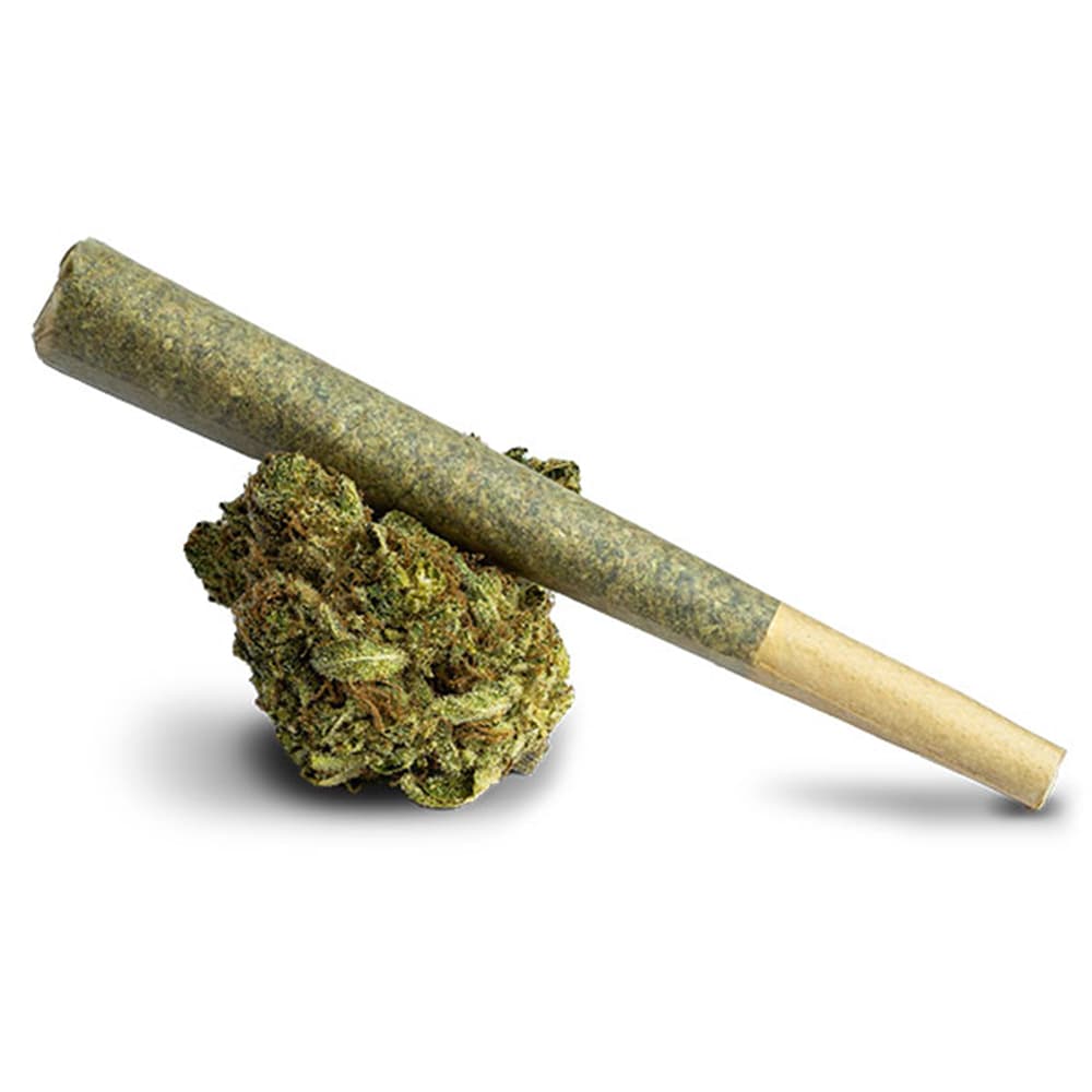Insa Mother Ship: Pre-Roll 1g