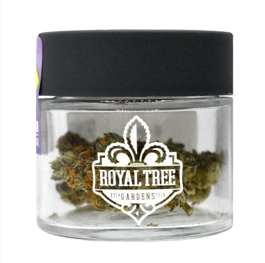 Royal Tree Gardens Gelato 41