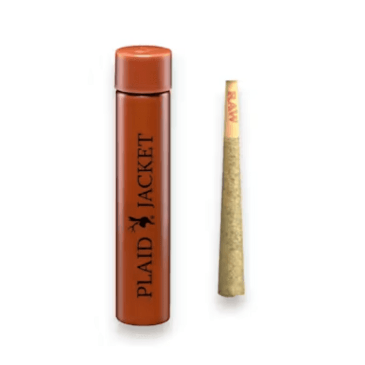 Plaid Jacket Plaid Jacket: Dirty White Girls - THCA IPR