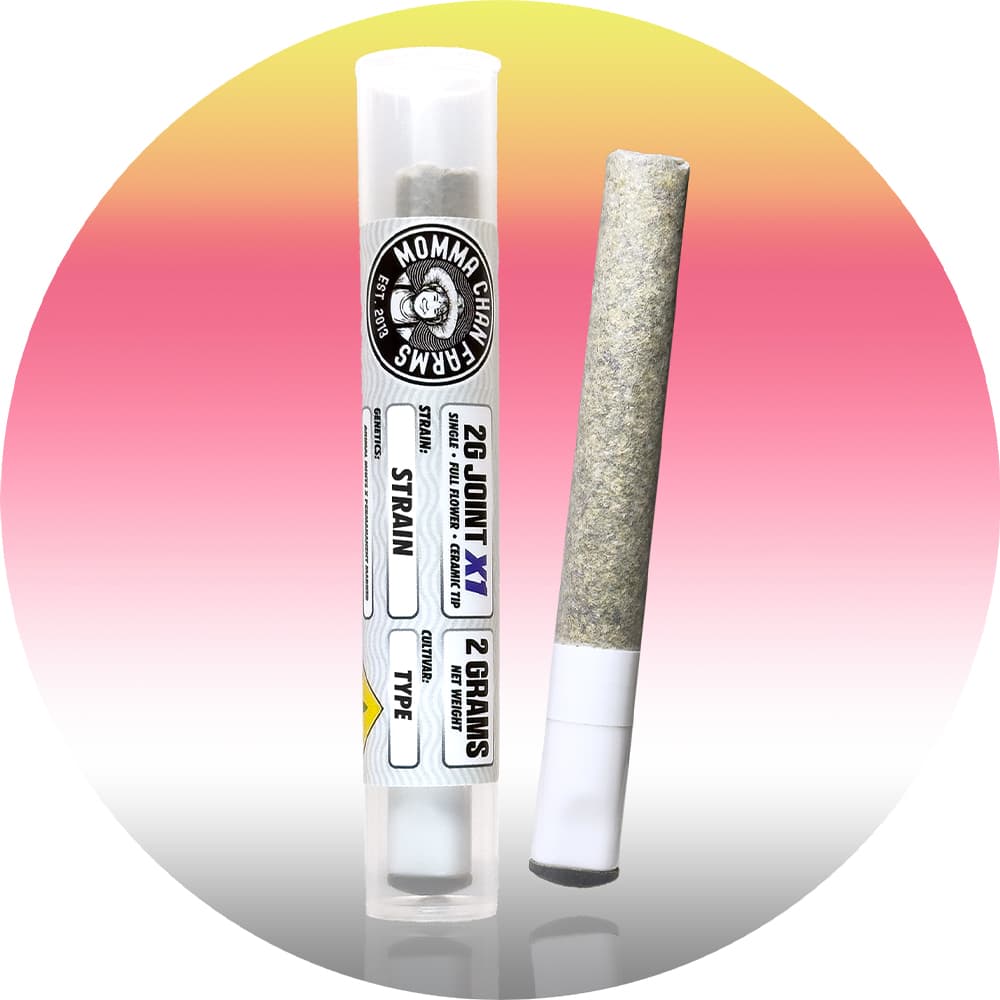 Momma Chan Lemon Cherry Pop [2g]