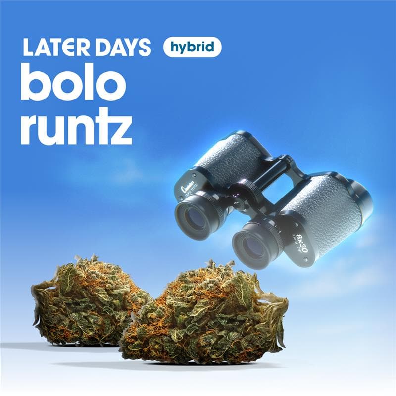 Later Days Bolo Runtz Flower