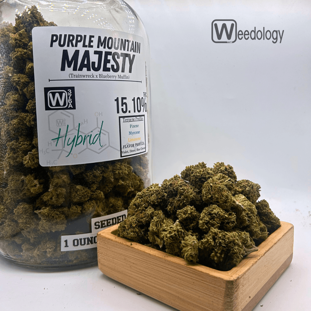 Weedology Farms
