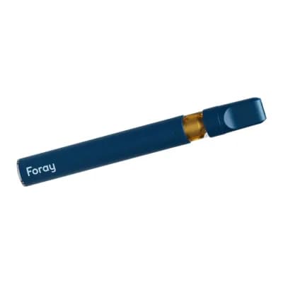 Foray Mango Haze Balanced Disposable Pen | 0.3g