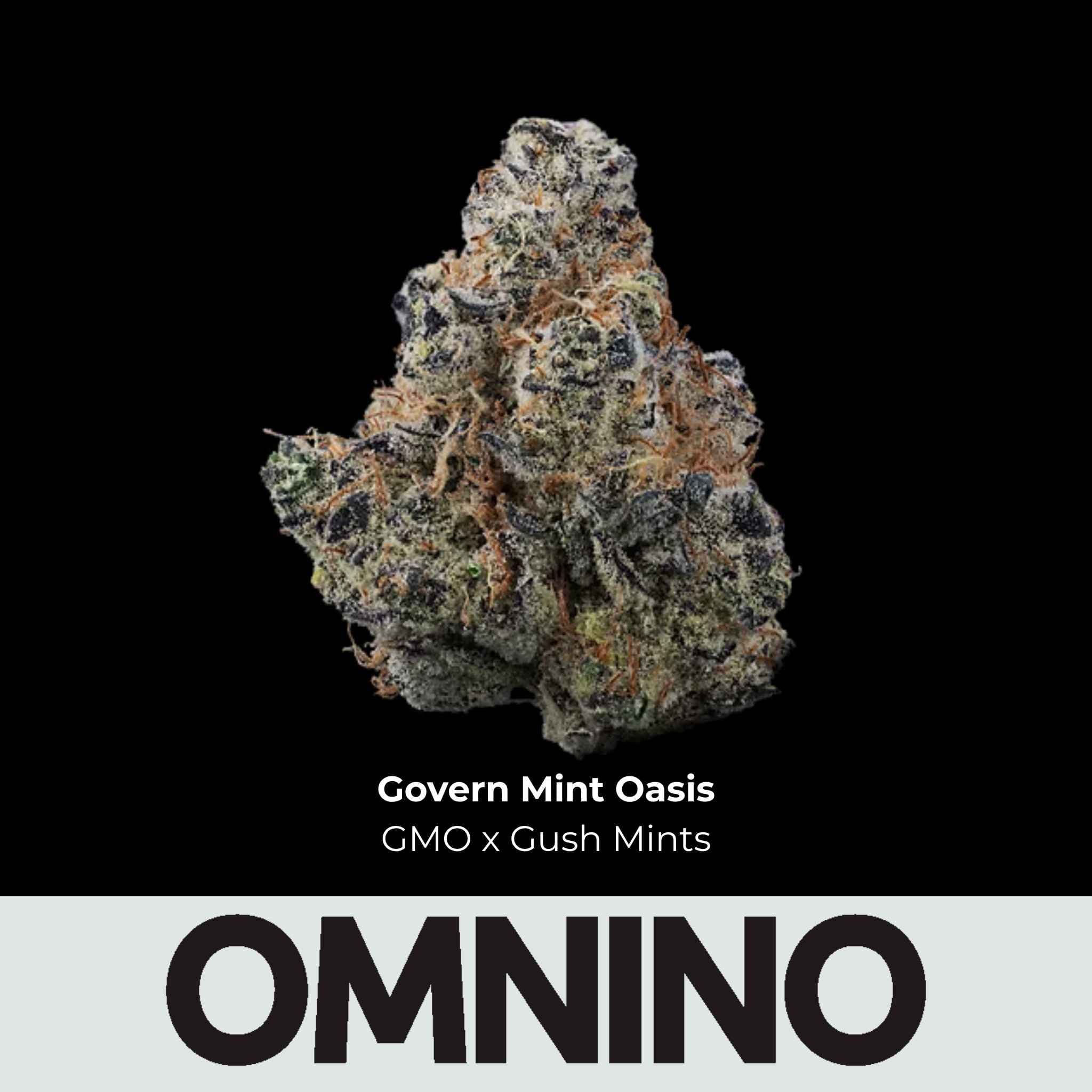 Omnino