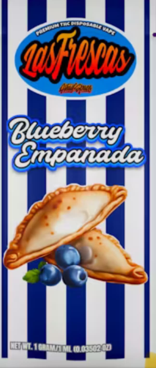 Head Space Blueberry Empanada - Disposable