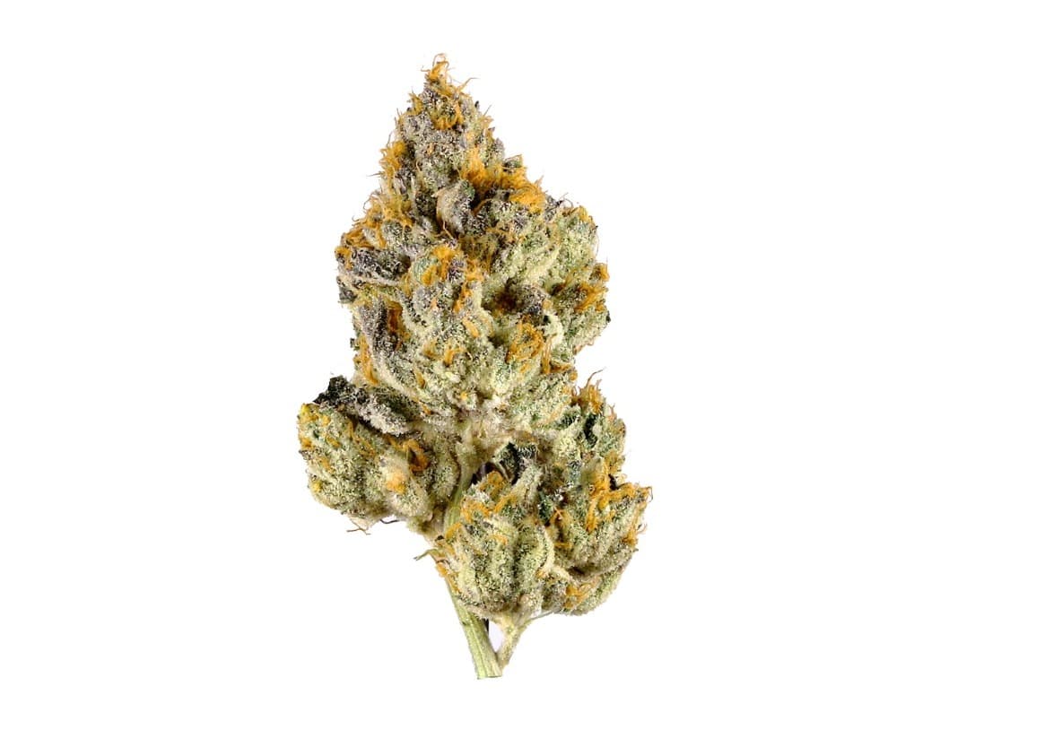 Blazy Daze The Soap | Flower