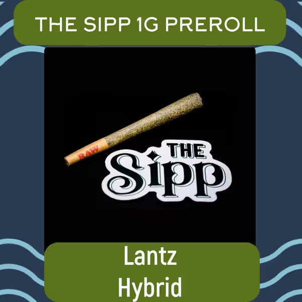 The Sipp