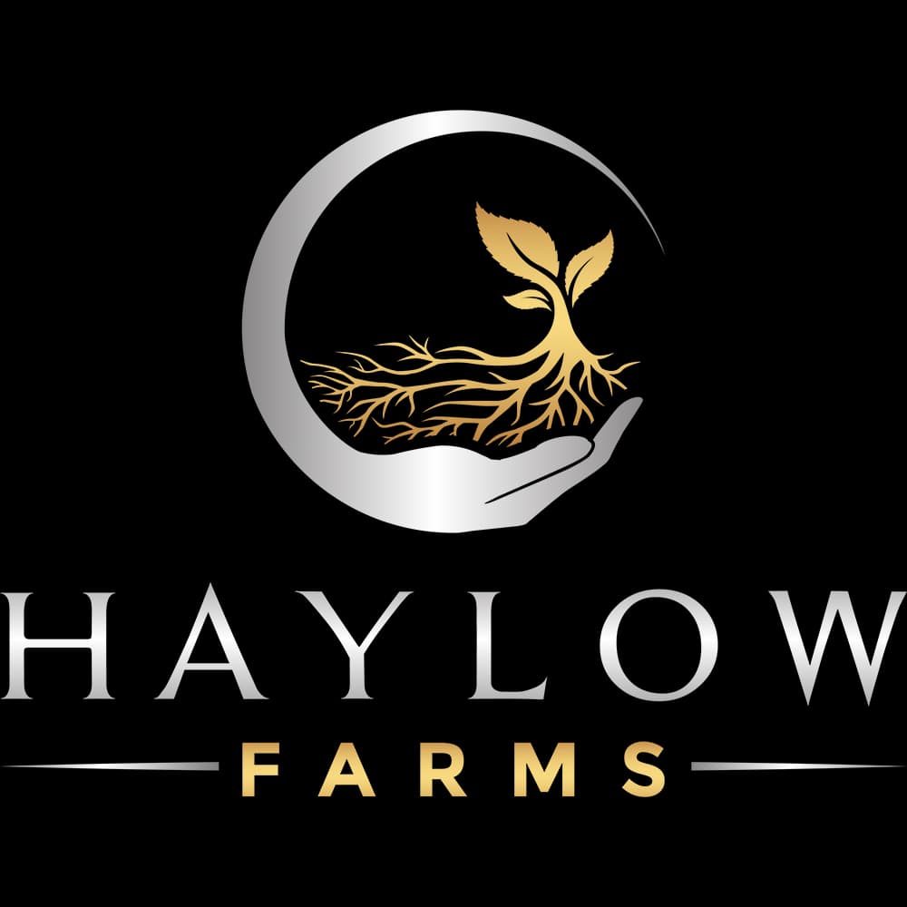 Haylow Farms Strawberry Fizz