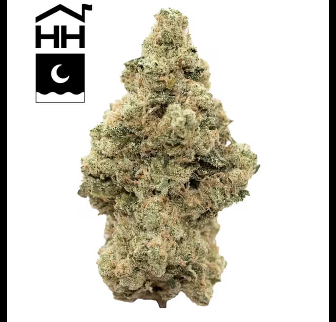 Harbor House Collective