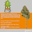 Sanctuary Medicinals Pineapple Junky