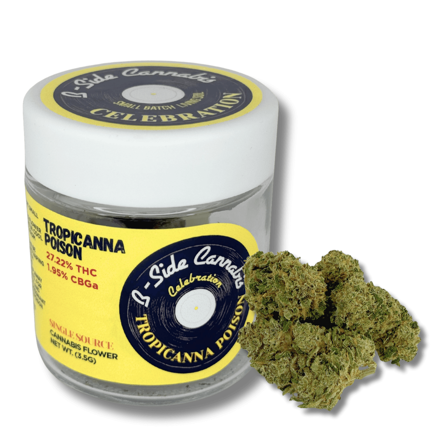 B-Side Tropicanna Poison Flower | B-Side