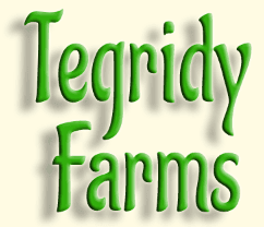 Tegridy Farms TEG MANDARIN SUNSET
