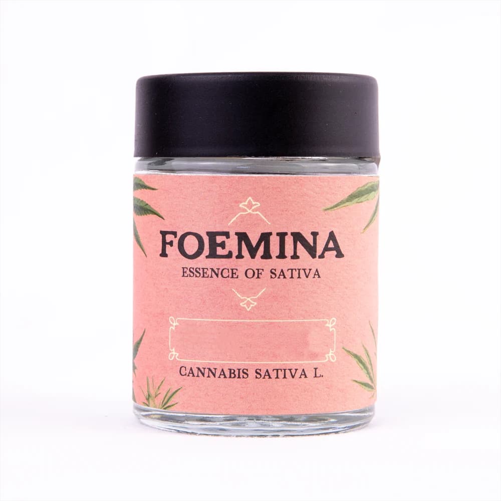 Foemina Mimosa Small Buds Flower - By Foemina