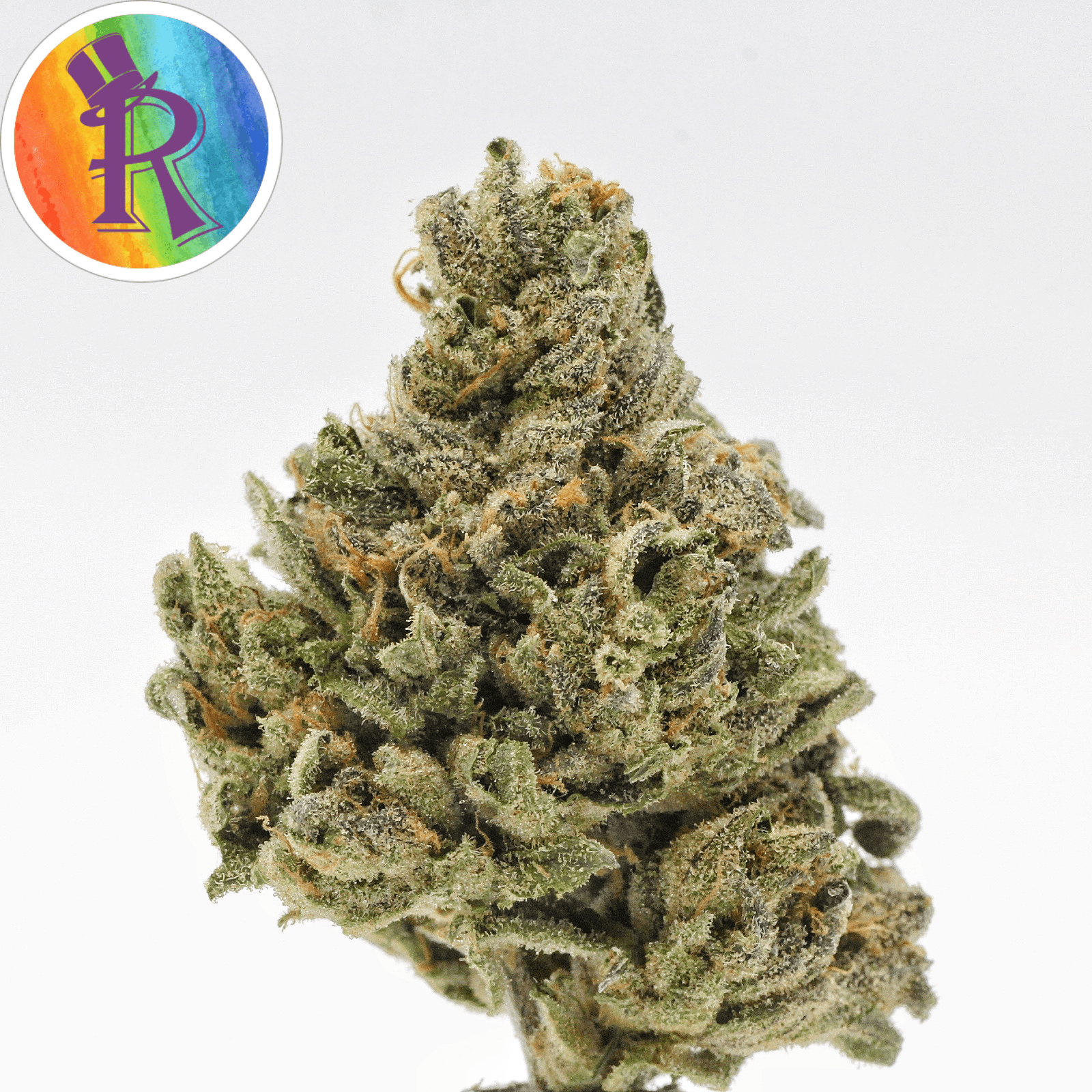 Canna Organix