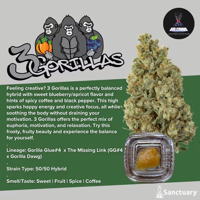 Volcanna 3 Gorillas Sauce