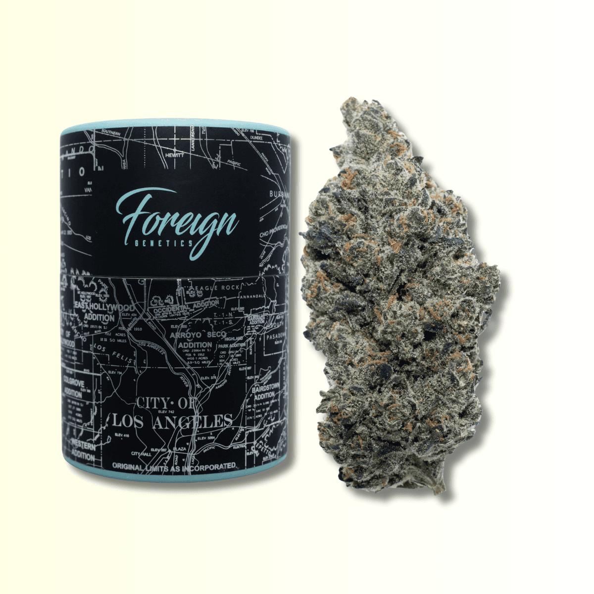 Foreign Genetics