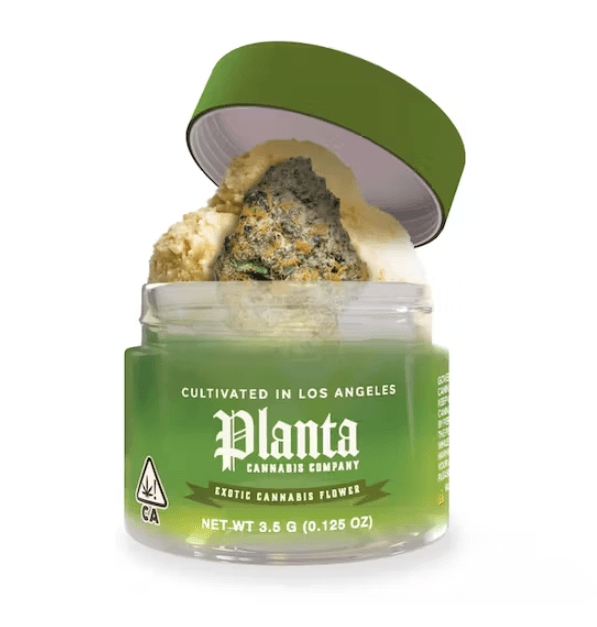 Planta Gelato 41 3.5g
