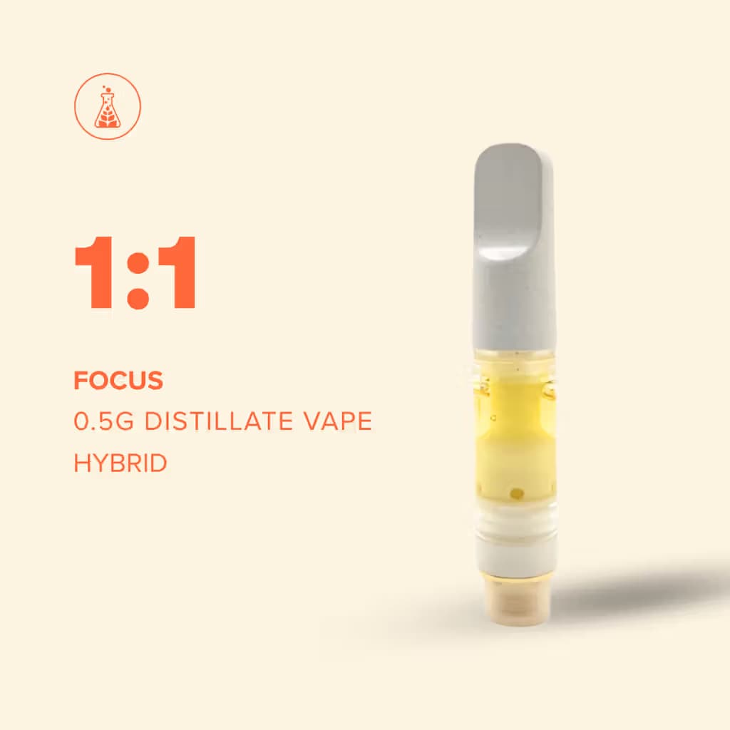 Sanctuary Cannabis 1:1 Focus