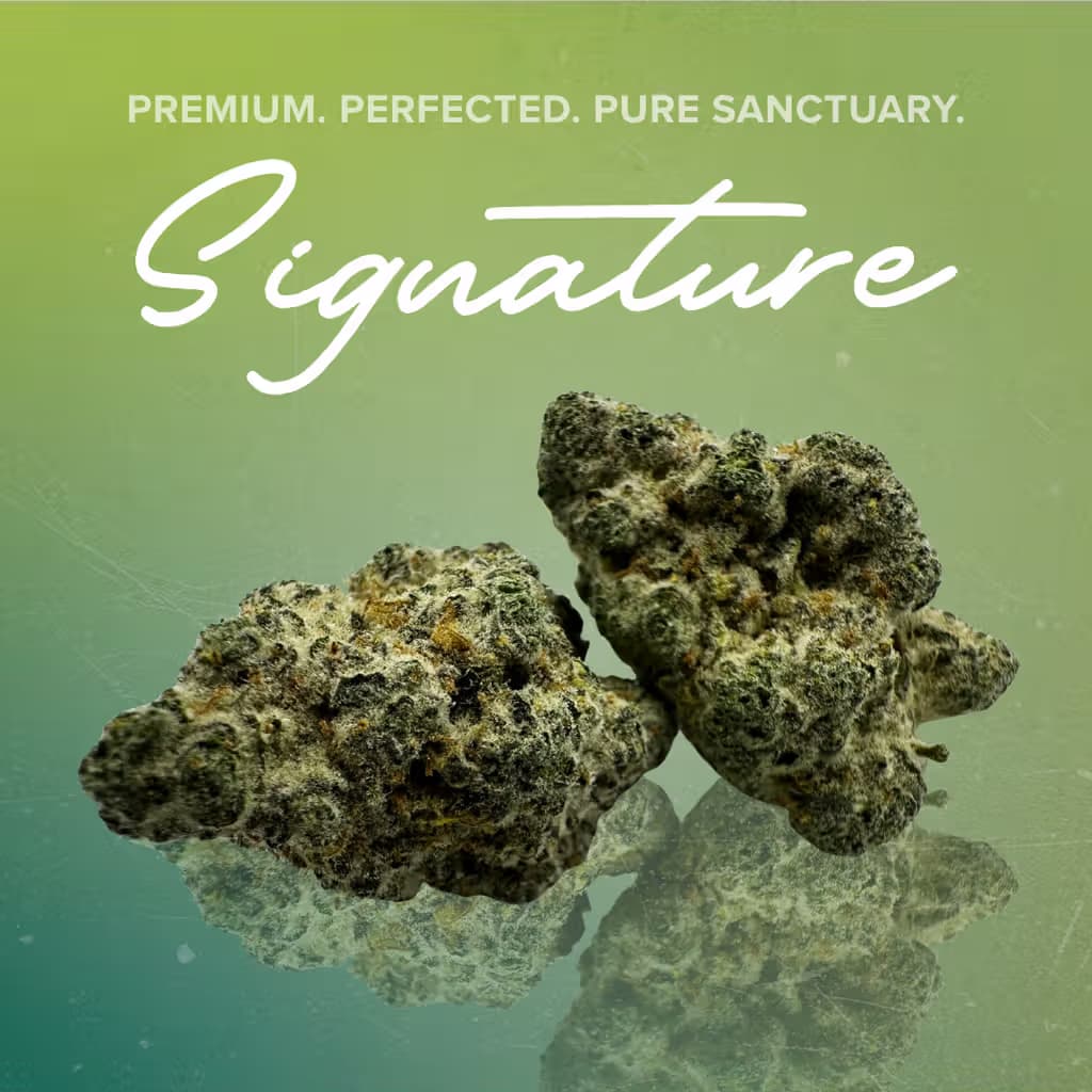 Sanctuary Cannabis Flower