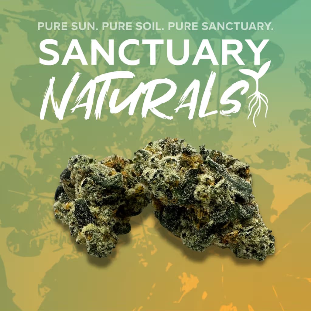 Sanctuary Cannabis Mango Chem