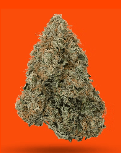 IC Collective Chem Fruit