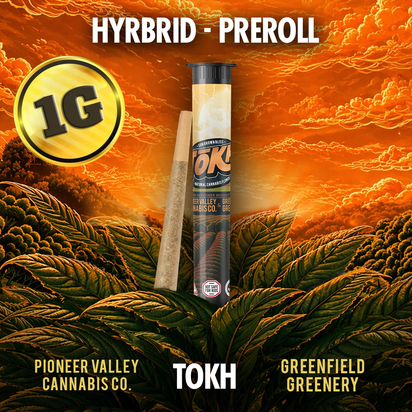Tokh PRE ROLL | 1G | CANDY GAME | HYBRID | TOKH