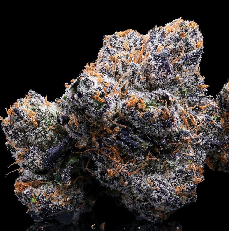 Priscilla's Garden HOTTI FUEL - 3.5G