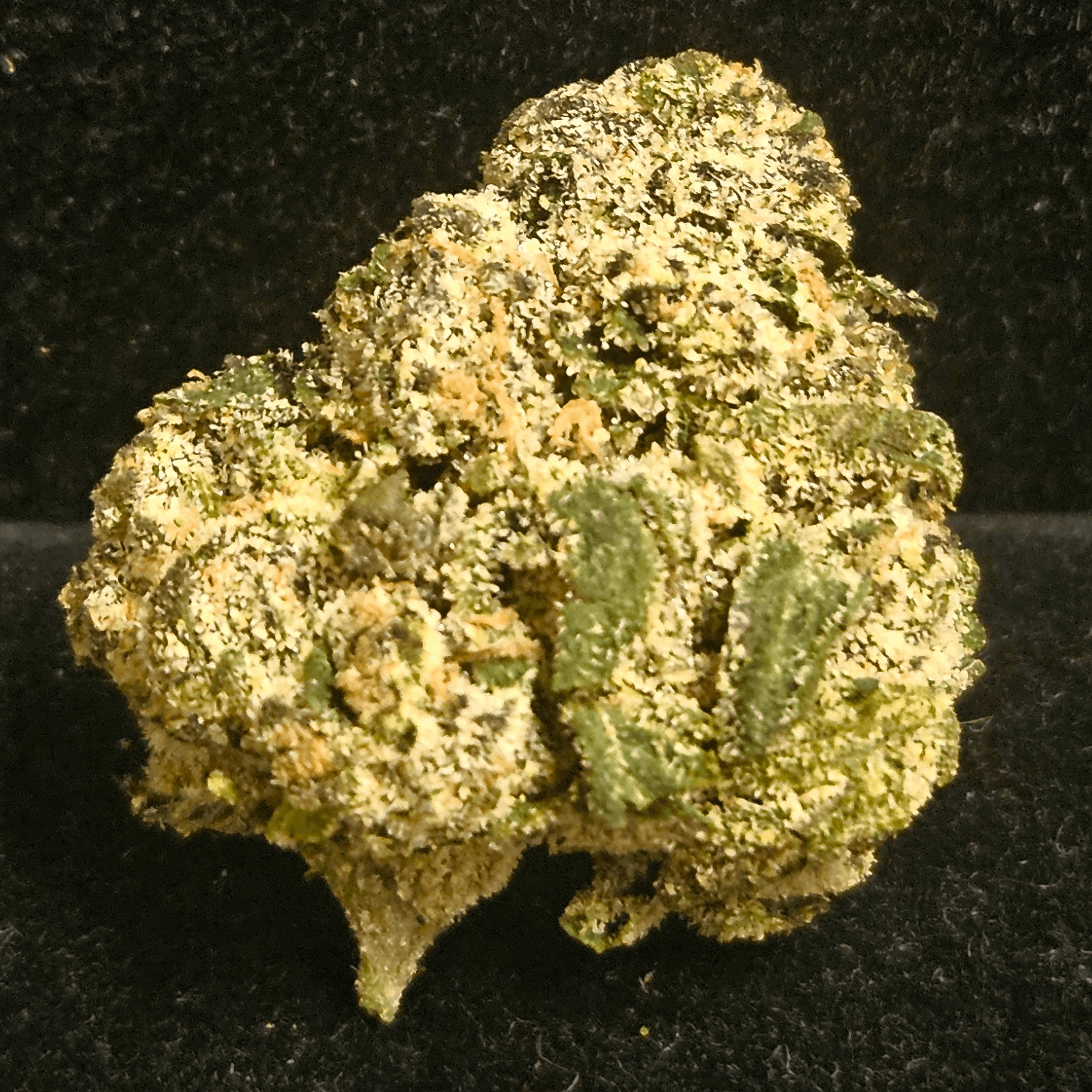 Campfire Cannabis Guava