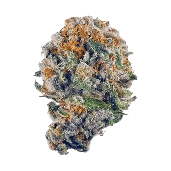 Lifted North Blueberry Muffin [.5g]