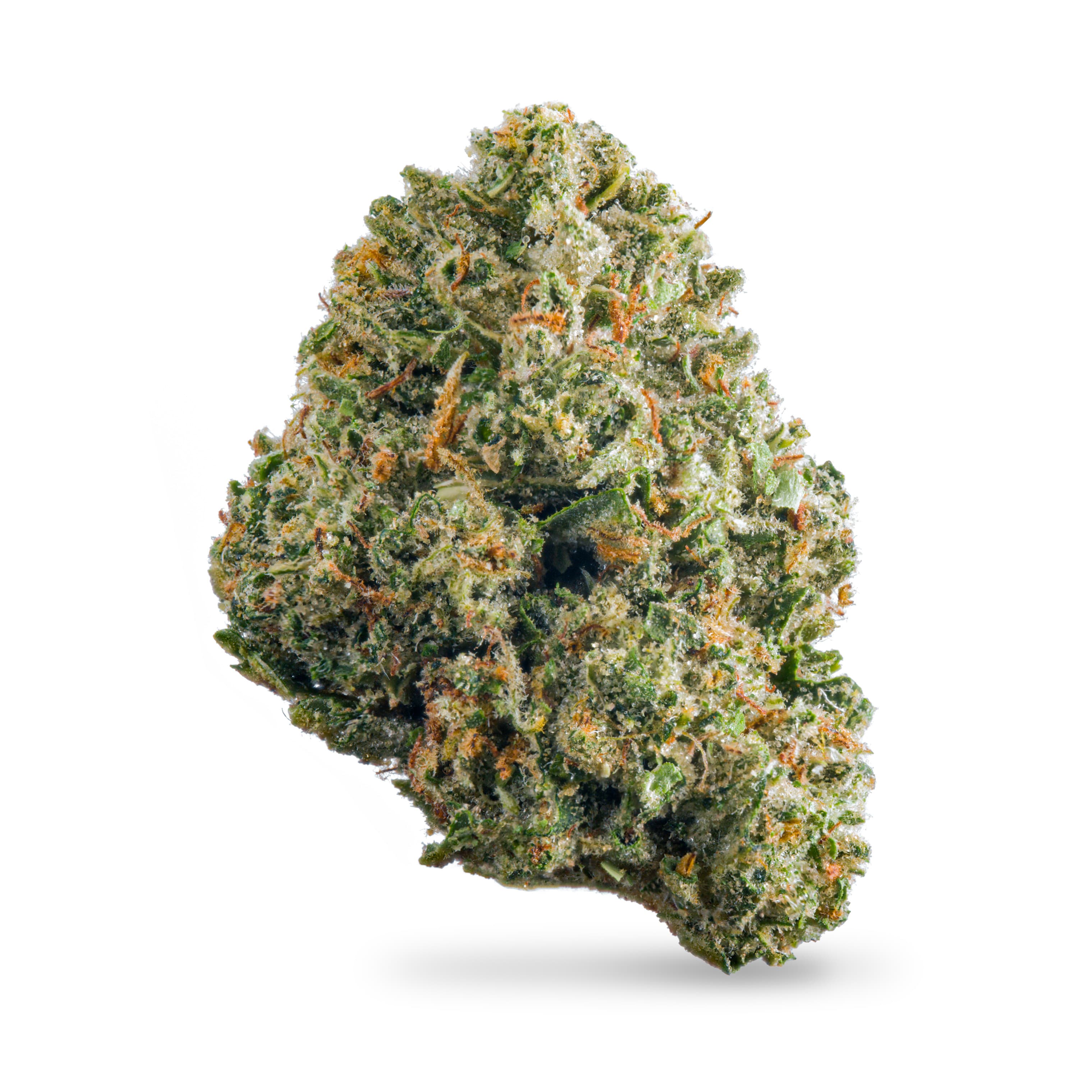 Truforia Jelly Pie