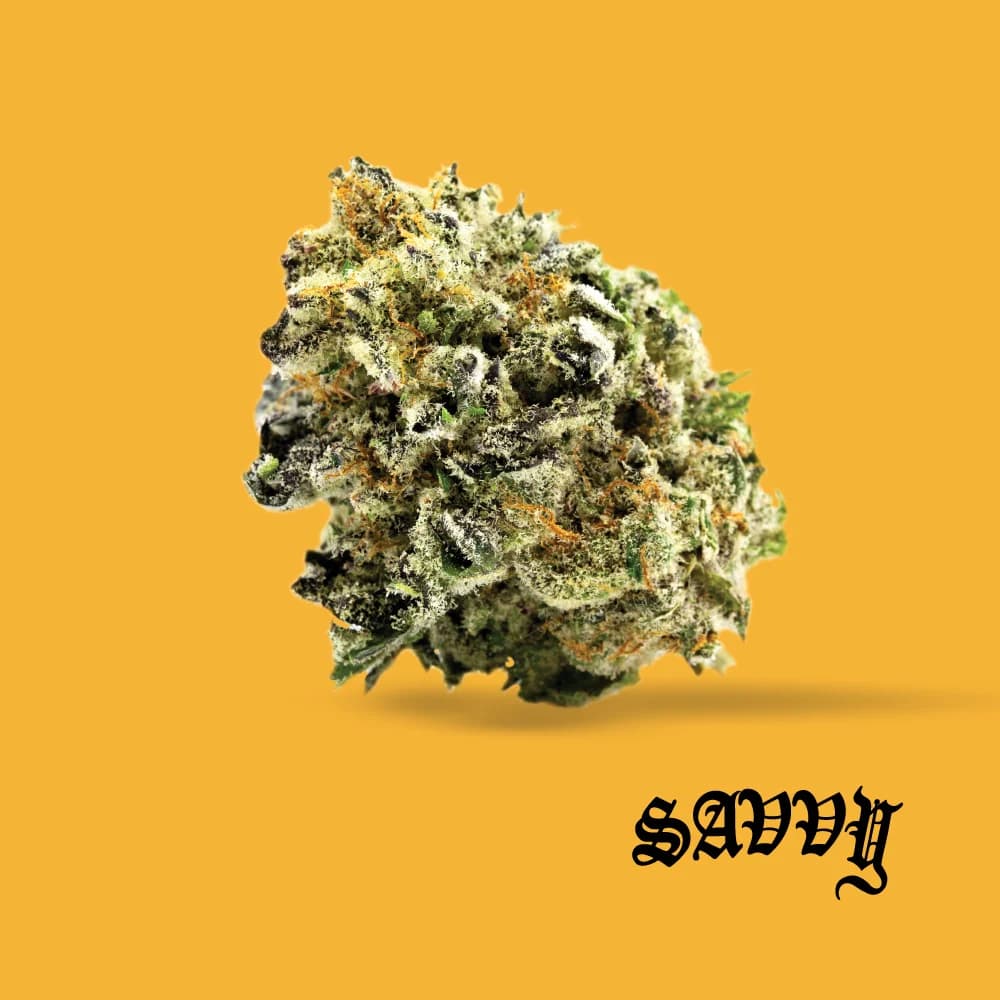 Savvy Grape Bubblegum